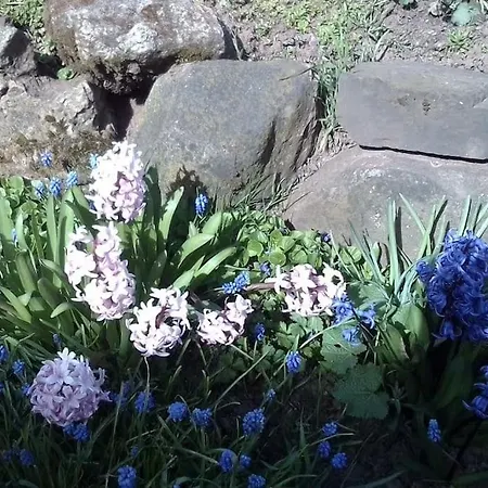 Loft Eifel Idylle アパート