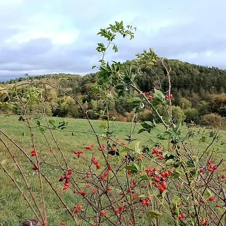 アパート Loft Eifel Idylle *