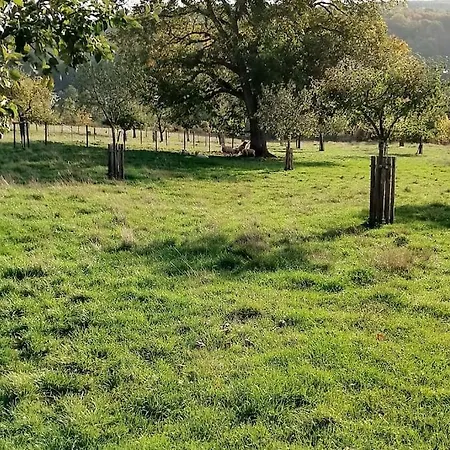 Loft Eifel Idylle Nettersheim