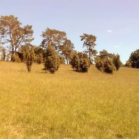 Loft Eifel Idylle * Nettersheim