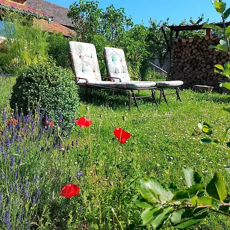 Loft Eifel Idylle Apartment *
