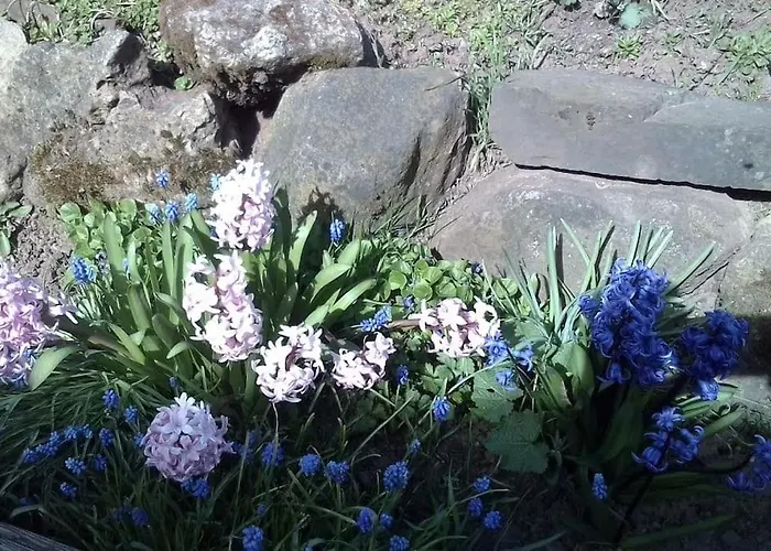 Loft Eifel Idylle Apartmán