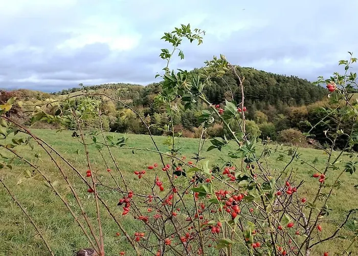 Daire Loft Eifel Idylle *