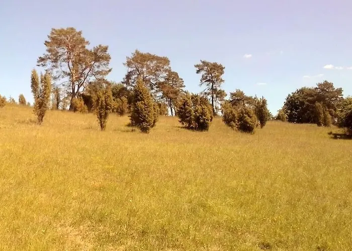 Loft Eifel Idylle * Nettersheim