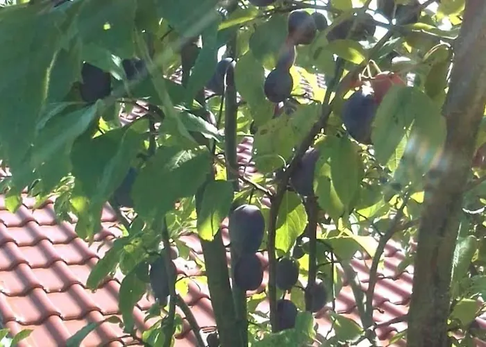 Loft Eifel Idylle Daire